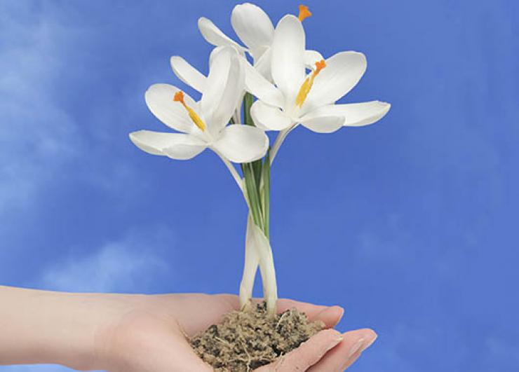 HBR April 2024 web cover