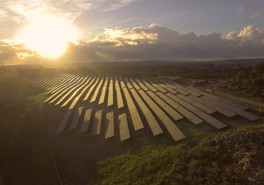 Newcastle solar farm at dawn