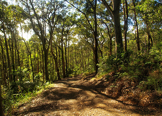 dreamstime xl 16397607